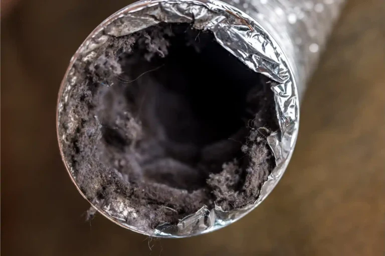 Dirt In Your Air Ducts